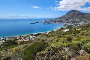 Cape Town: Peninsula, Penguins & Cape of Good Hope Day Tour