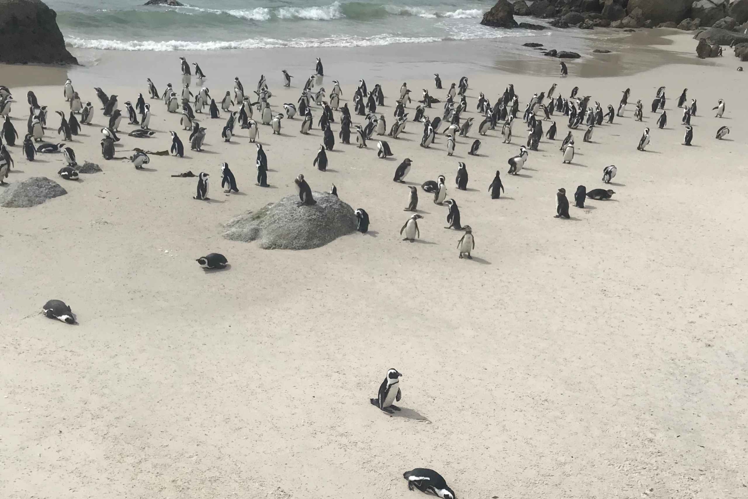 Кейптаун: велосипедный тур по полуострову