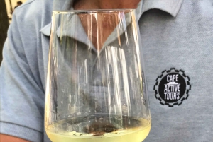 Кейптаун: велосипедный тур по полуострову