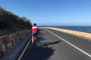 Кейптаун: велосипедный тур по полуострову