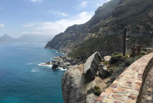 Кейптаун: велосипедный тур по полуострову