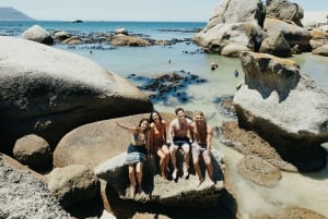 Le Cap : Excursion d'une journée à la plage de Boulders Peninsula et à la pointe du Cap