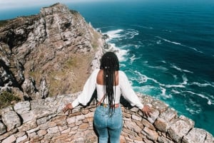Cape Town: Dagstur til Boulders Beach og Cape Point på halvøya