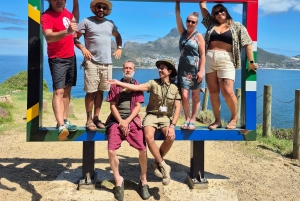 Cape Town: Tur til halvøya, Kapp det Gode Håp og pingviner