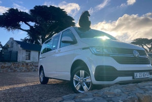 Cape Town: Tur til halvøya, Kapp det Gode Håp og pingviner