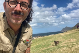 Cape Town: Tur til halvøya, Kapp det Gode Håp og pingviner