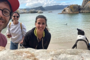 Cape Town: Tur til halvøya, Kapp det Gode Håp og pingviner