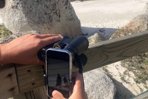 Cape Town: Tur til halvøya, Kapp det Gode Håp og pingviner