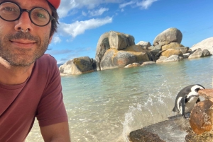 Cape Town: Tur til halvøya, Kapp det Gode Håp og pingviner
