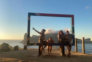 Cape Town: Tur til halvøya, Kapp det Gode Håp og pingviner