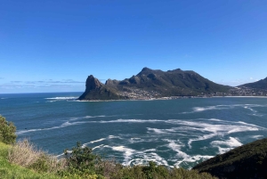 Cape Town: Tur til halvøya, Kapp det Gode Håp og pingviner