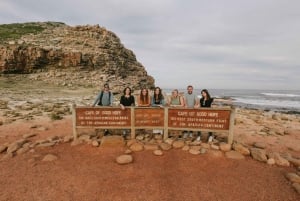 Cape Town: Peninsula Vibes Boulders Beach & Cape Point