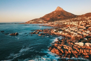 Cape Town: Peninsula Vibes Boulders Beach & Cape Point