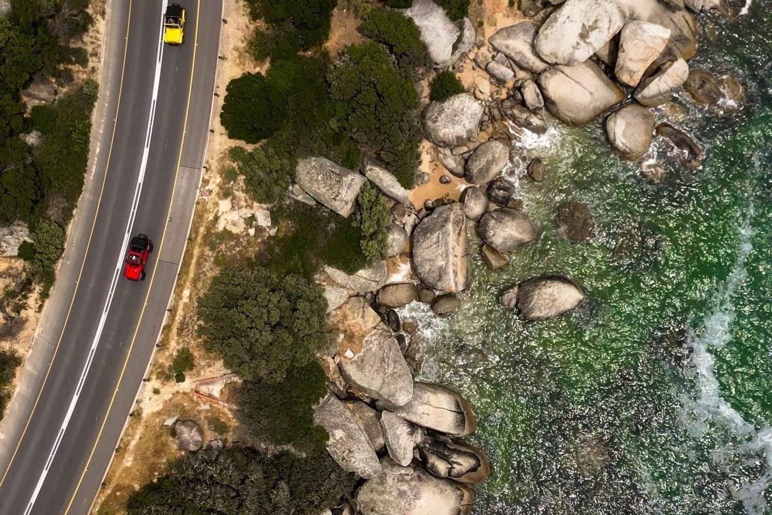 Cape Town: Peninsula & Vineyard Tour with Boulders Beach