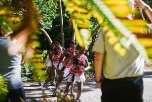Cape Town: Art, Culture & History Walking Tour
