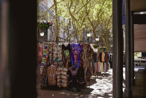 Cape Town: Art, Culture & History Walking Tour