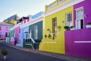 Cape Town: Art, Culture & History Walking Tour