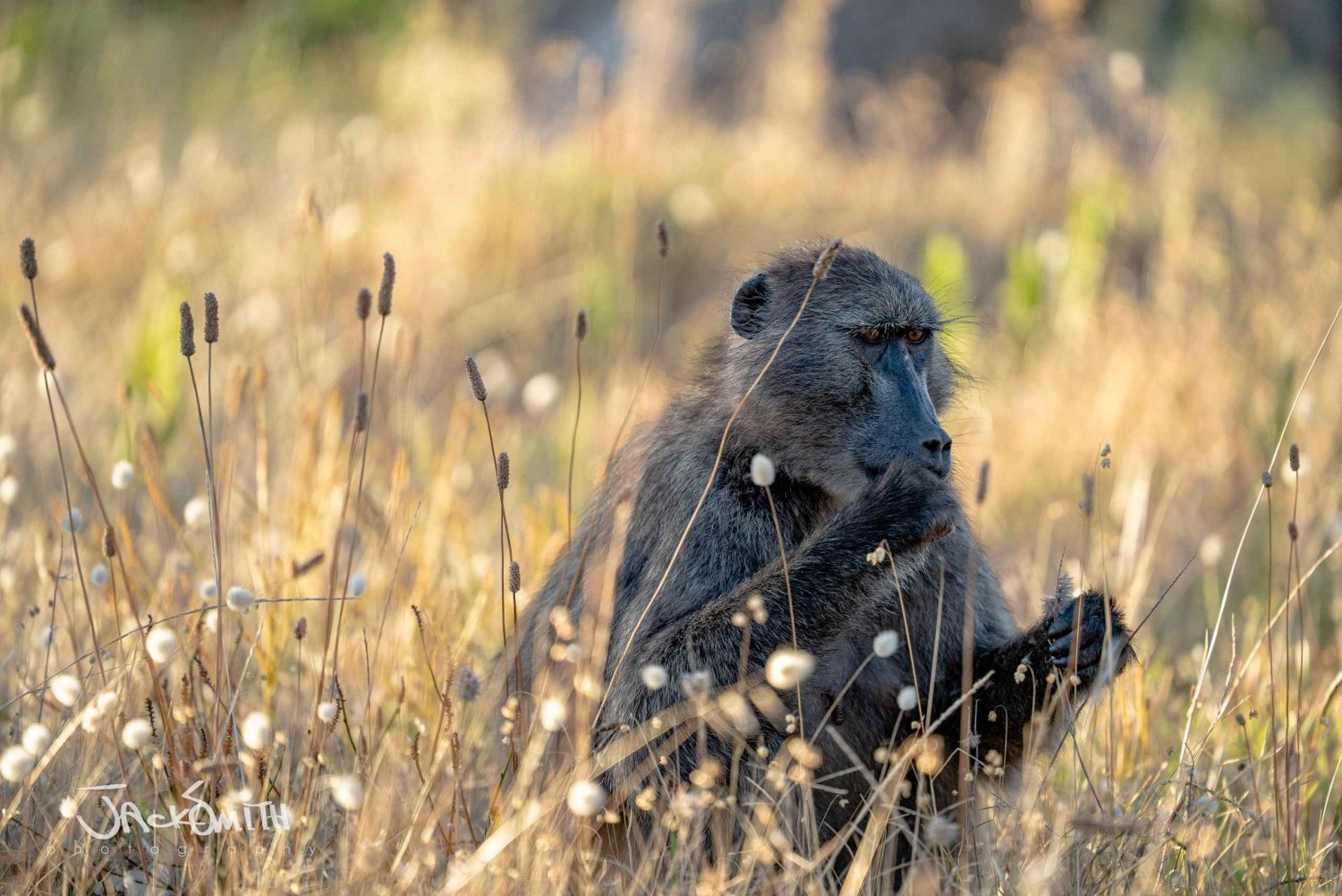 Cape Town: Photography Tutoring in the city with a local