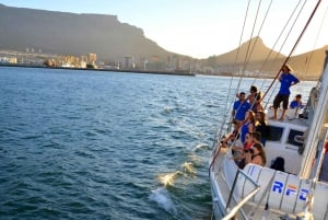 Cidade do Cabo: Cruzeiro com champanhe antes do pôr do sol