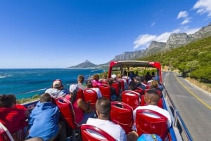 Cape Town: Premium attraksjoner City Pass med busstur