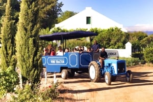 Cape Town: Premium Attractions City Pass with Bus Tour