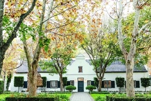 Cape Town: Premium Small Group Wine Tour with Tastings