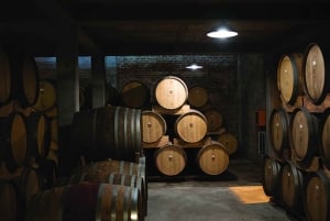 Cape Town: Premium Small Group Wine Tour with Tastings