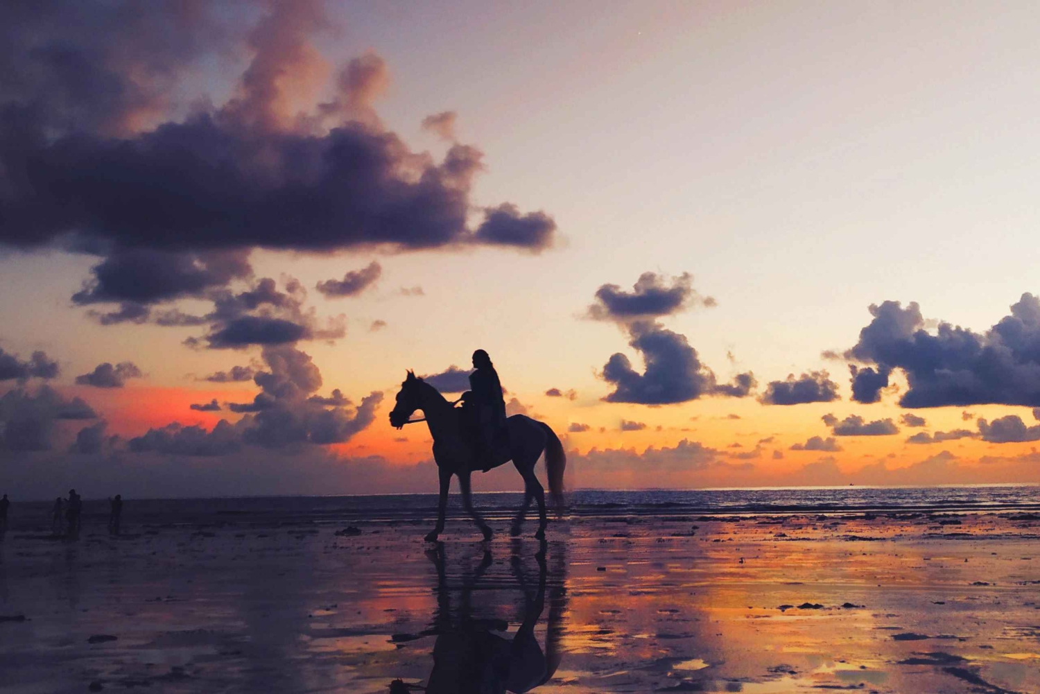 Kapstadt: Privater Strandausritt, Wein-Tour & Mittagessen