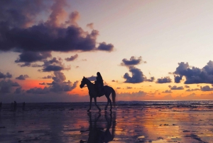 Kapstadt: Privater Strandausritt, Wein-Tour & Mittagessen