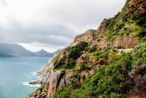 Kapstadt: Privater Strandausritt, Wein-Tour & Mittagessen