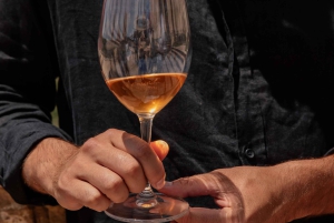 Kapstadt: Privater Strandausritt, Wein-Tour & Mittagessen