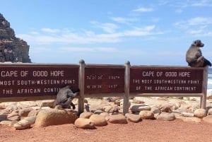 Kaapstad: privétour Kaap de Goede Hoop Kaap Punt in de ochtend