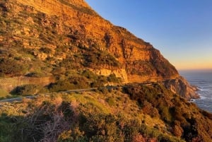Cape Town: Privat morgenutflukt til Kapp det gode håp Cape Point