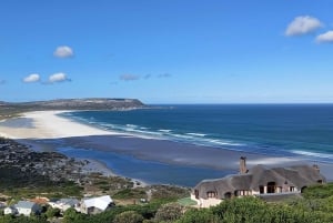 Kapsztad: prywatna poranna wycieczka do Przylądka Dobrej Nadziei w Cape Point