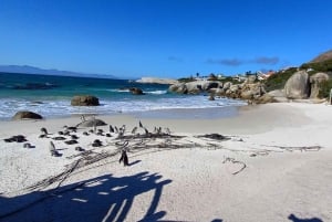 Kaapstad: privétour Kaap de Goede Hoop Kaap Punt in de ochtend