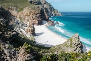 Cape Town : Private Cape Peninsula & Boulders Beach Tour