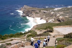 Kaapstad: privétour op het Kaapse Schiereiland