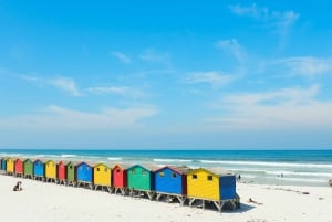 Kapstadt: Private Tour zum Kap der Guten Hoffnung und zur Kaphalbinsel