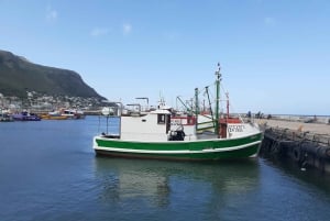 Kapstadt: Private Tour zum Kap der Guten Hoffnung und zur Kaphalbinsel