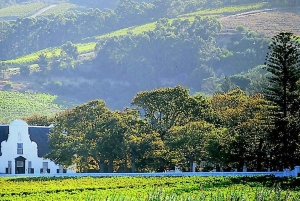 Кейптаун: частный тур на целый день по винодельческим угодьям Кейп-Вайнлендс с дегустацией вин