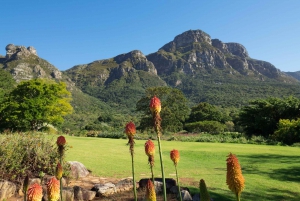 Cape Town privat tur, Table Mountain & Winelands Tour