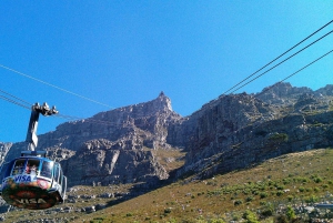 Cape Town privat tur, Table Mountain & Winelands Tour