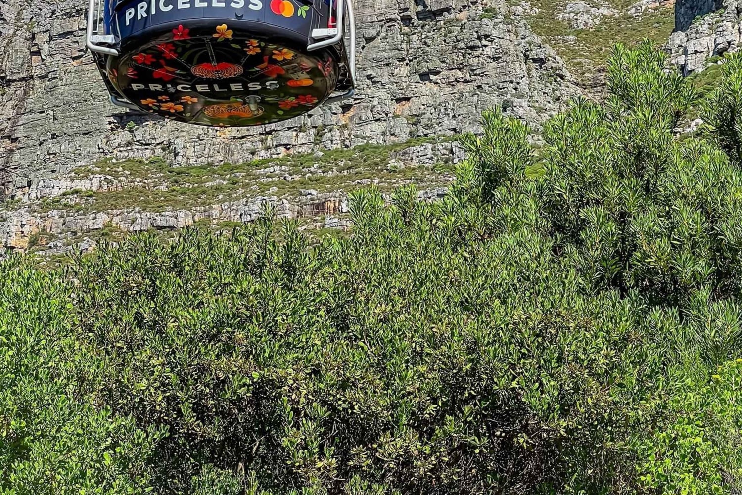 Kaapstad: Privétour door de stad met lokale gids