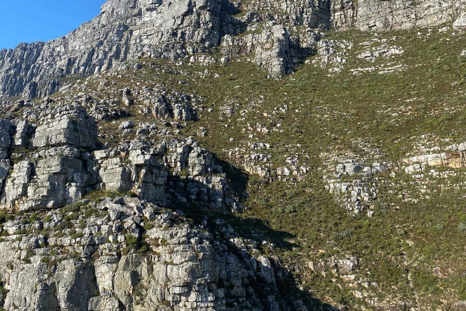 Kaapstad: Privétour door de stad met lokale gids