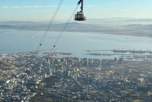 Cape Town: Private City Tour with Local Tour Guide