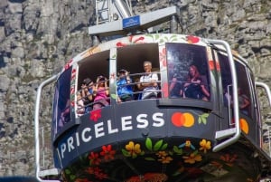 Kaapstad: Privétour door de stad met lokale gids