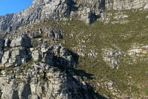 Kaapstad: Privétour door de stad met lokale gids