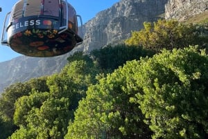 Kaapstad: Privétour door de stad met lokale gids