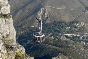 Kaapstad: Privétour door de stad met lokale gids