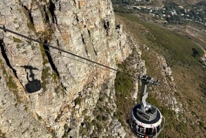 Kaapstad: Privétour door de stad met lokale gids